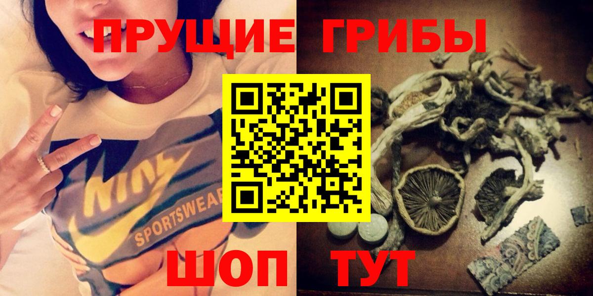 Псилоцибиновые грибы Psilocybine cubensis  Вход с VPN  наркошоп  Находка 